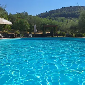 Agriturismo Poggio All'olmo Farm stay Greve in Chianti